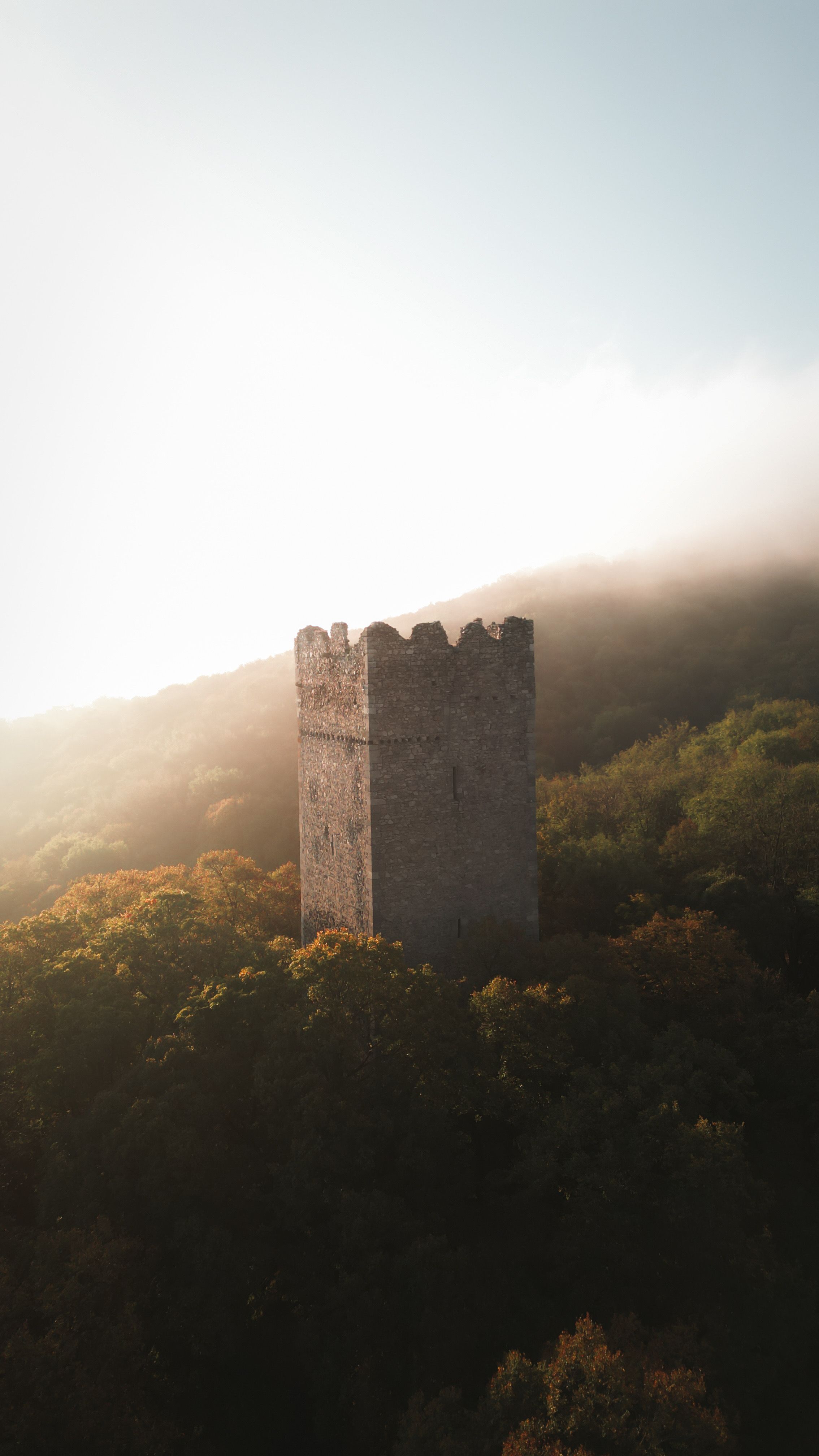 Egy kastély tornya az erdőben - Pottenburg
