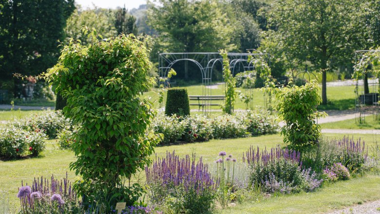 Starkl kalandkert, &copy; Carina Brunthaler