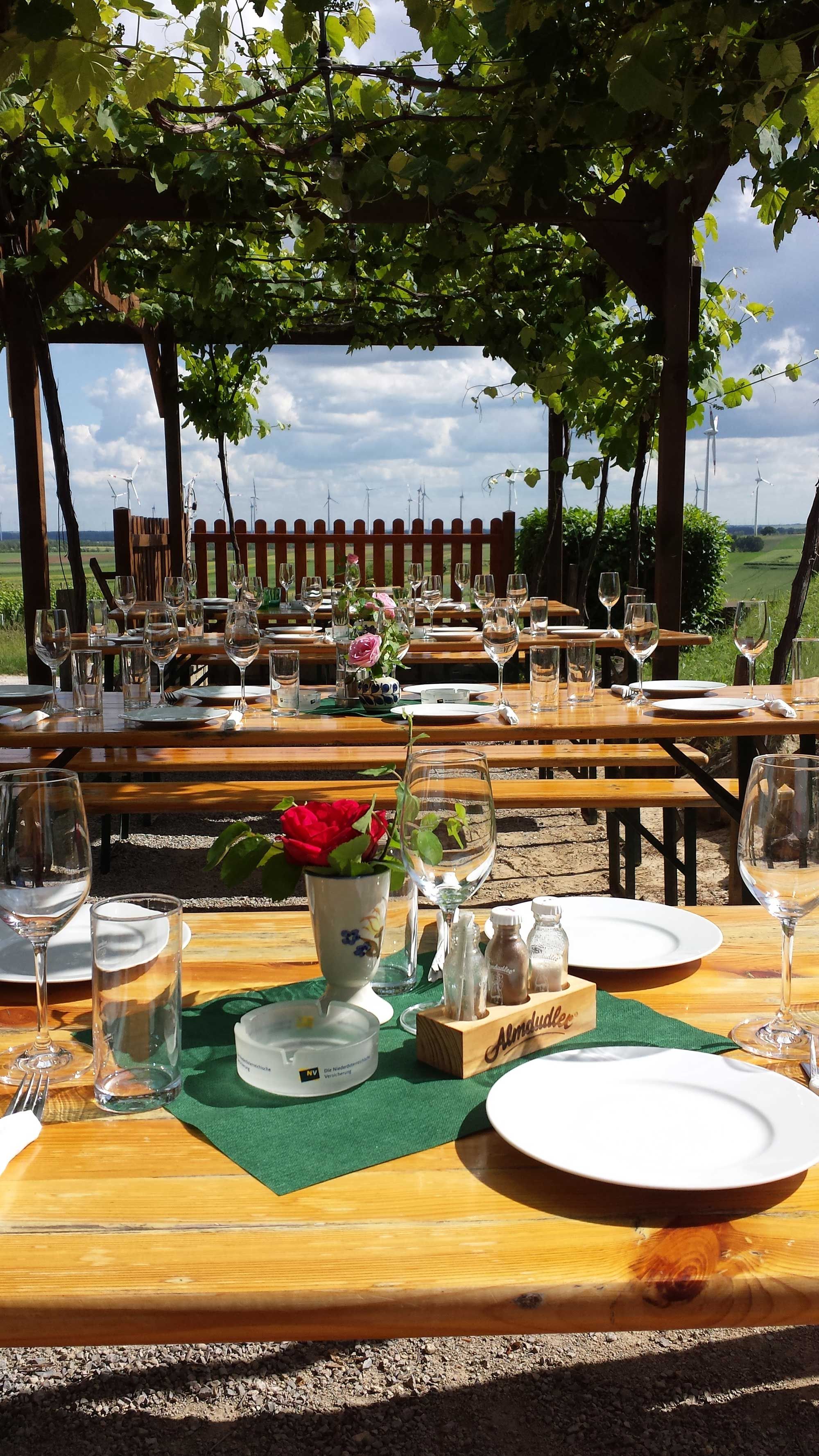 Asztalok a szabadban, lombos lombkorona alatt, kilátással a távolban lévő szélturbinákra.