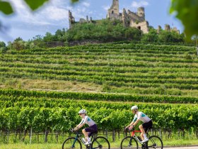 Radfahren Kremstal, &copy; Mara Hohla