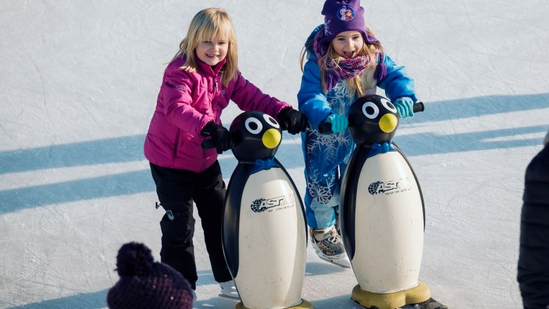 Artificial ice rink Herzogenburg, © Egon Fischer