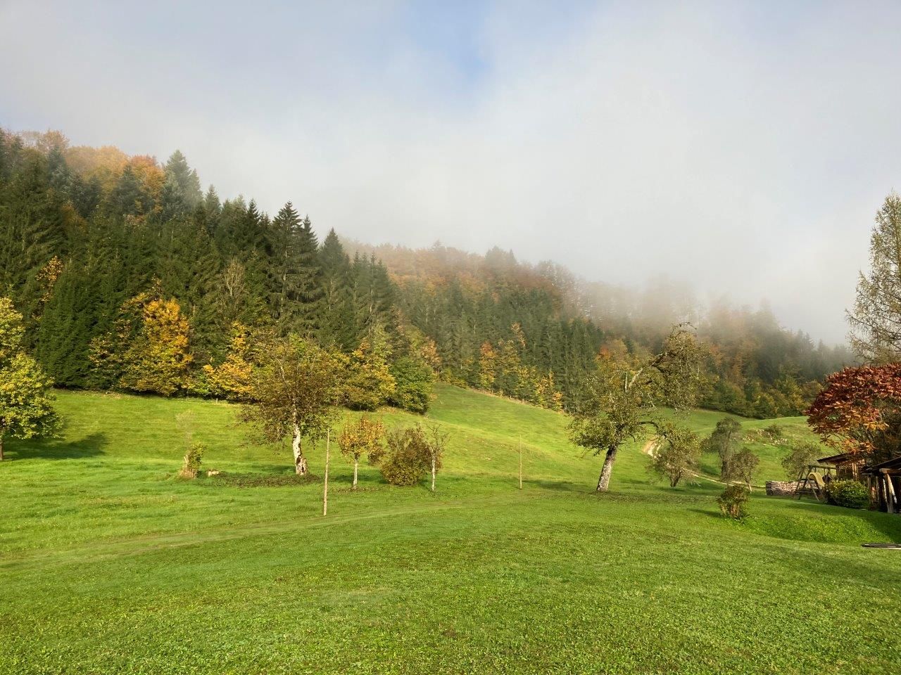 tágas-kert-az-nyaralóház-előtt