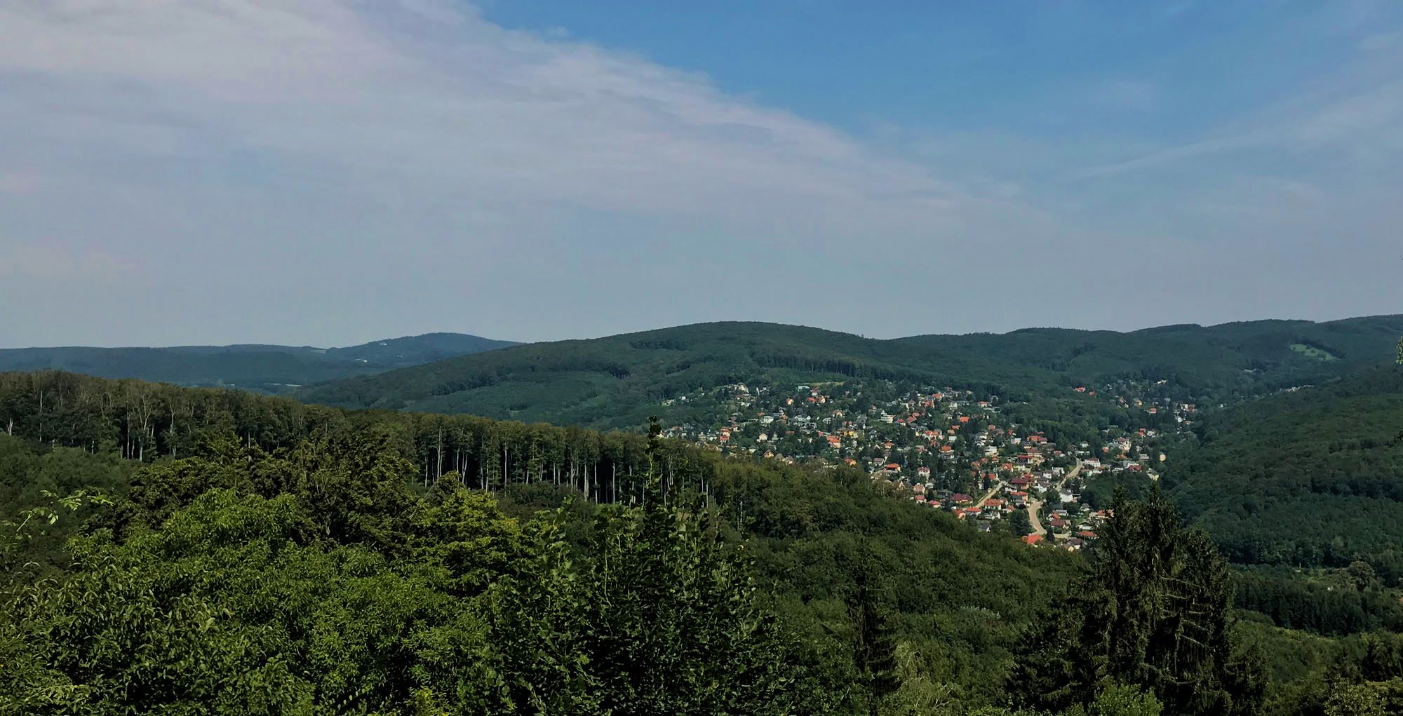 Bécsi-erdő Steinbachtal