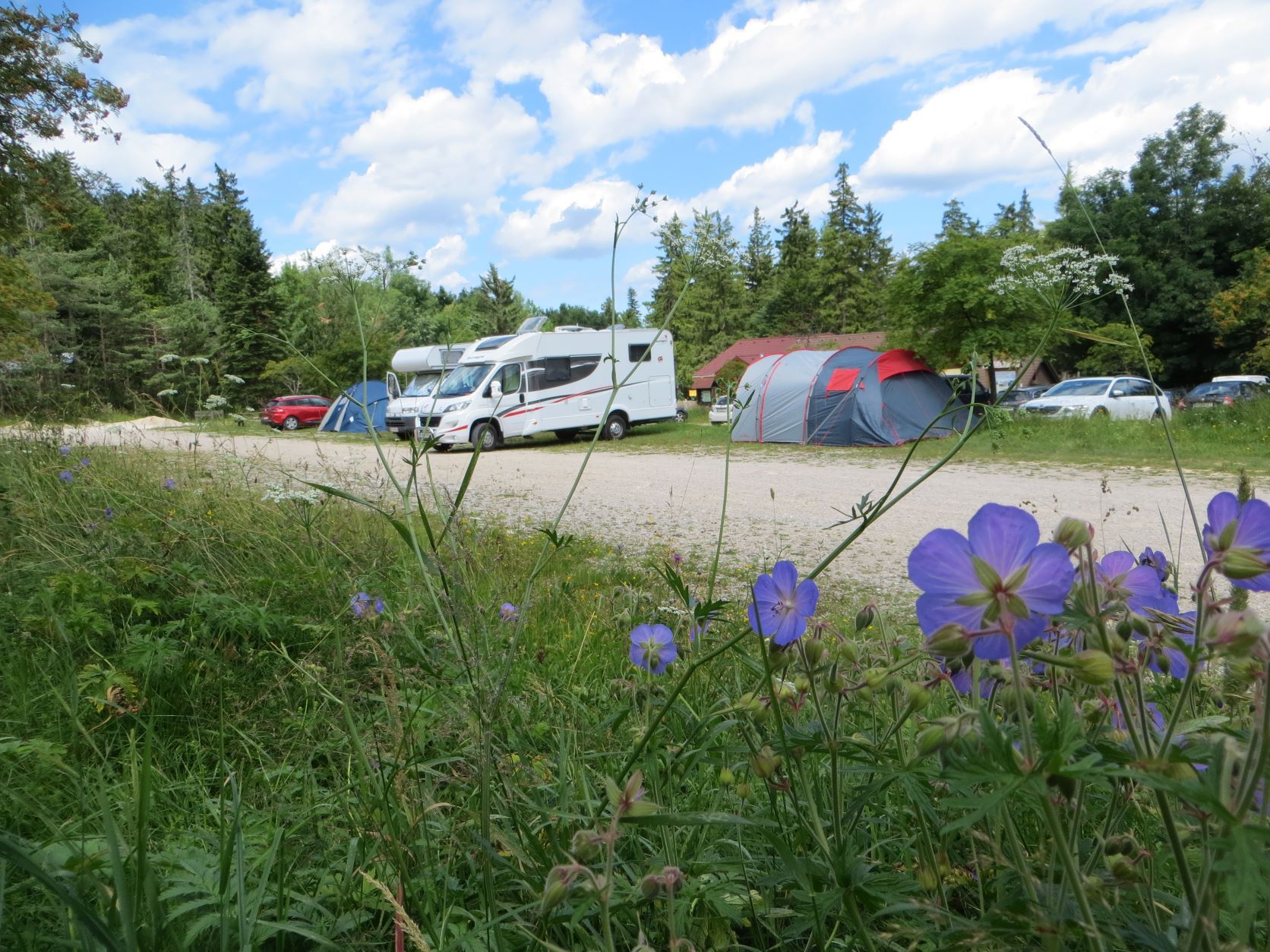 Kemping mobilházakkal, sátrakkal és virágzó virágokkal az előtérben.
