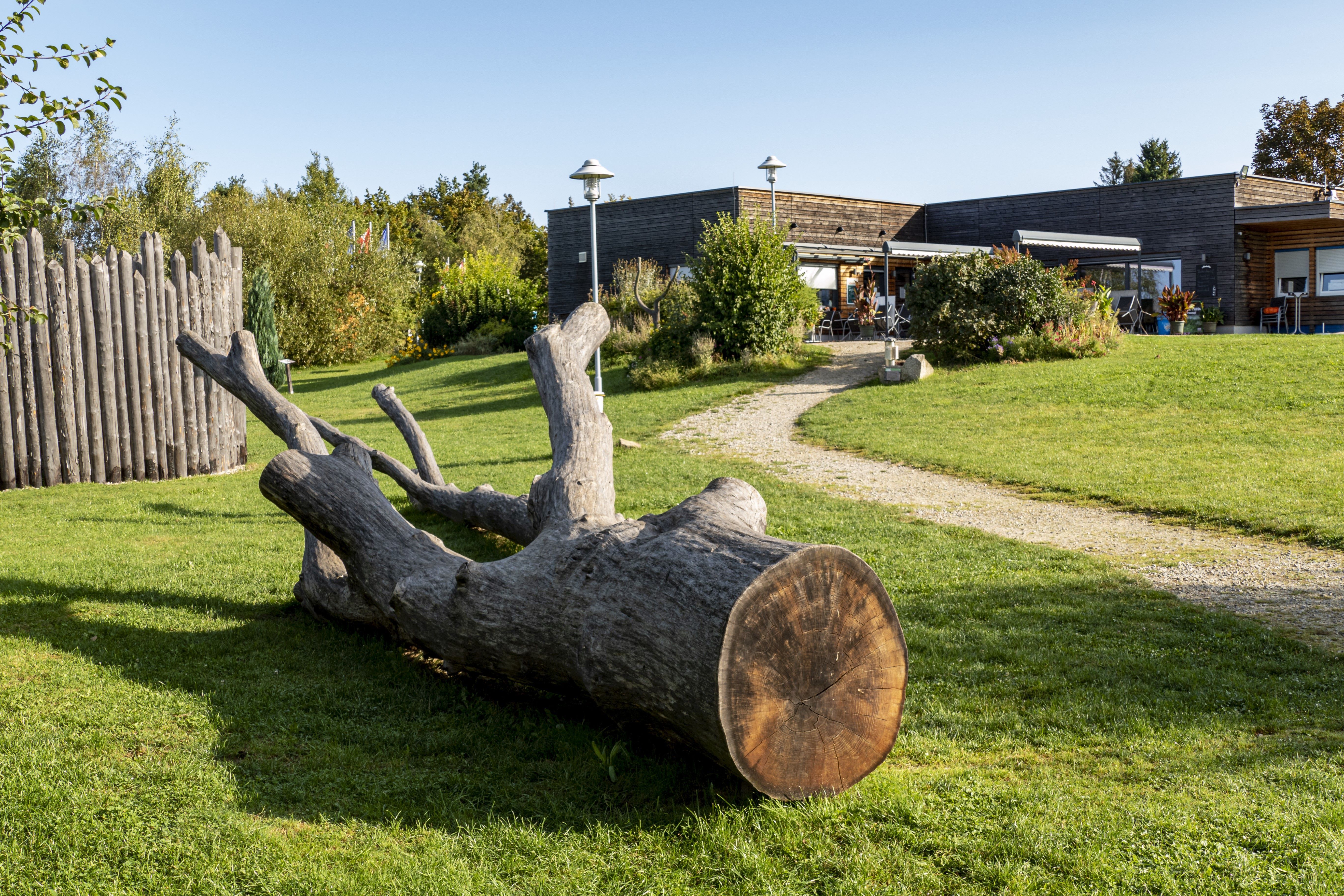 Natúrpark, előtérben egy nagy fatörzs, háttérben egy modern épület.