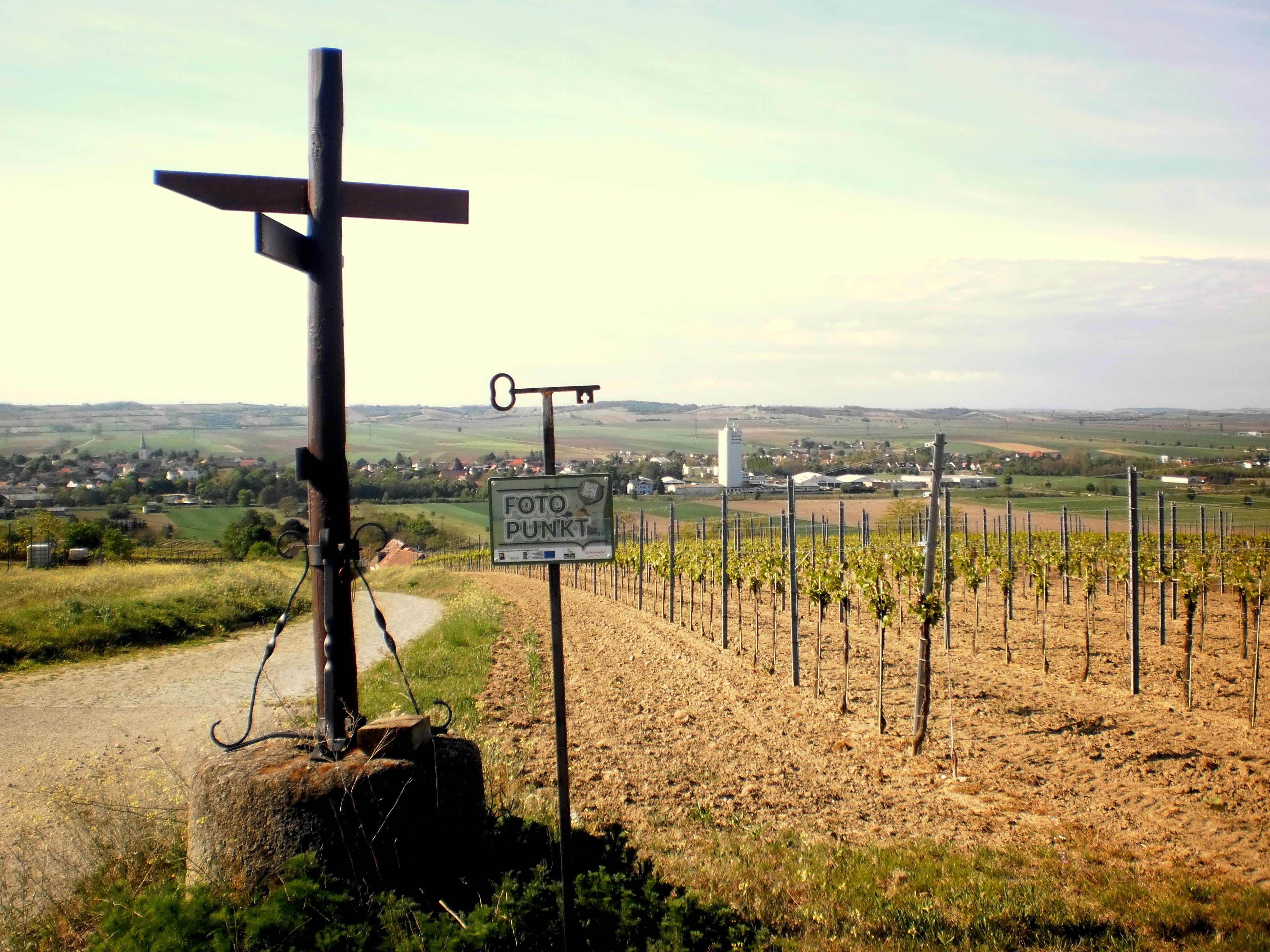 Haugsdorf látképe szőlőültetvényekkel és egy fotópont táblával az előtérben.