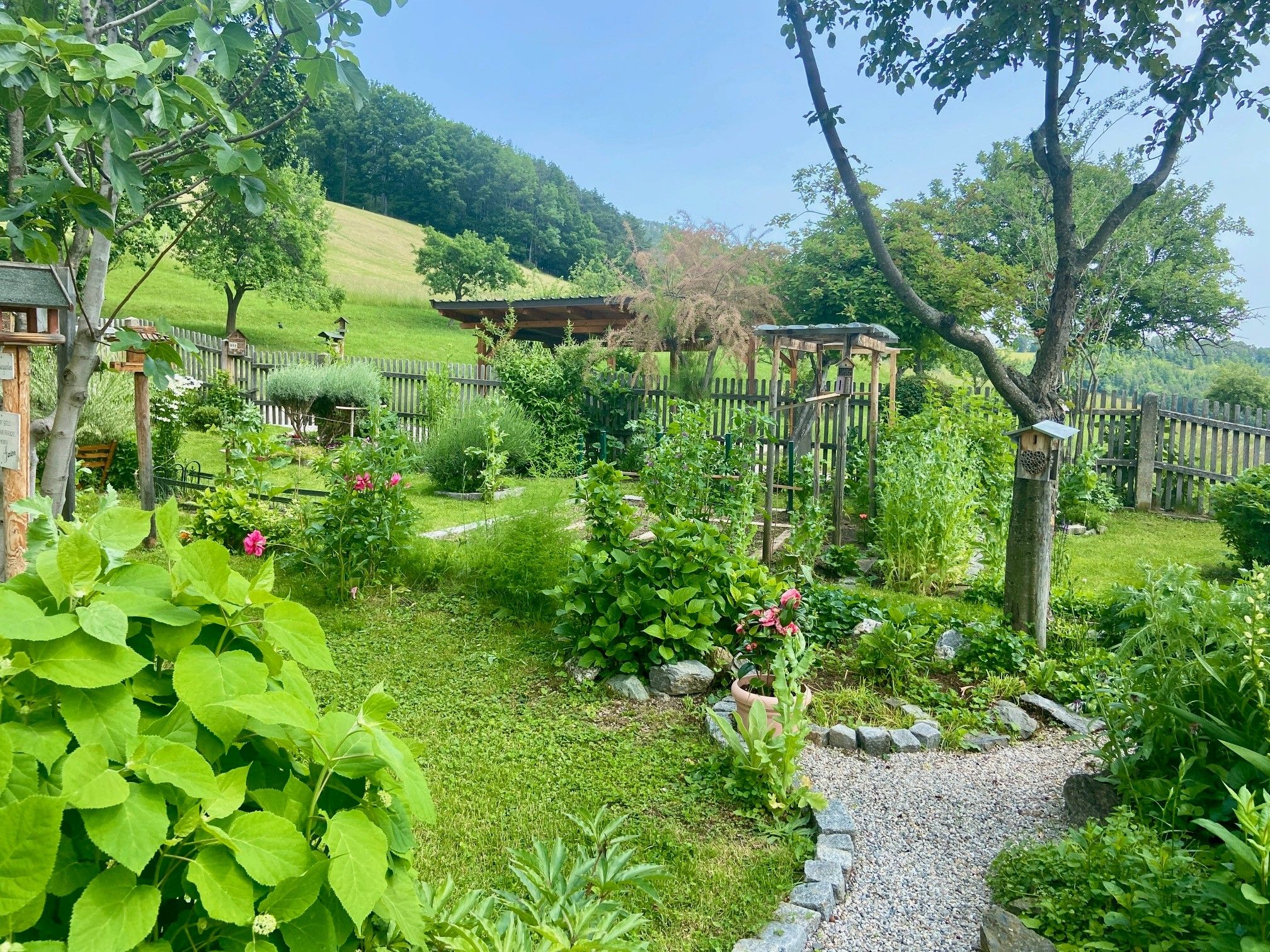 Gondozott kert virágokkal, fákkal és kavicsos ösvényekkel, fakerítéssel körülvéve, a háttérben zöld rét.