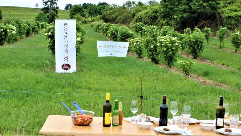 Holler Picknik, &copy; Familie Zeilinger-Wagner