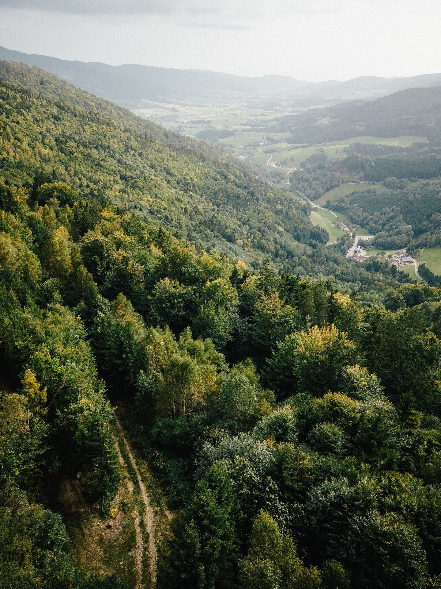 Die sanften Hügel des Yspertals laden zu unvergesslichen Wanderungen ein, während die üppigen Wälder und die klare Luft ein Gefühl von Freiheit und Abenteuer vermitteln. Entdecken Sie die versteckten Pfade des Druidenwegs, wo die Natur in voller Pracht erblüht und jeder Schritt ein neues Erlebnis verspricht.