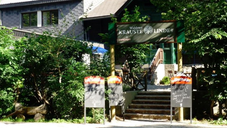 Waldrast curly lime tree, © Waldrast Krauste Linde