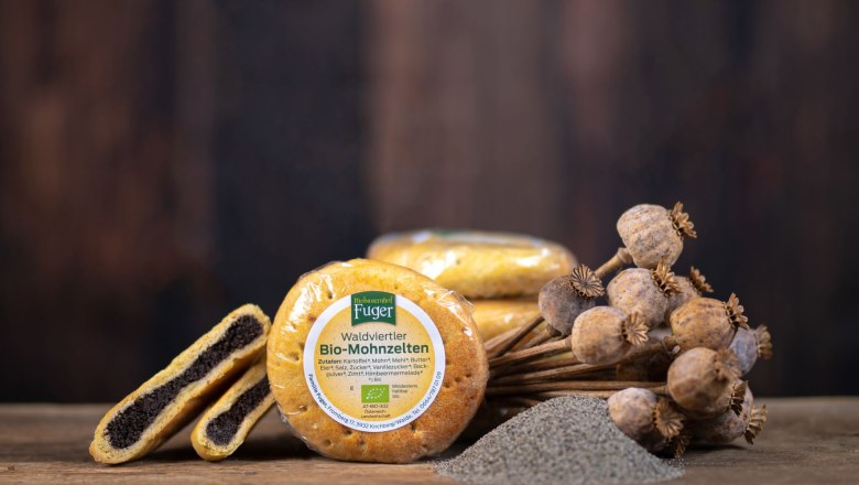 IMG-20221114-WA0002, &copy; Michael Bauer, Langschwarza