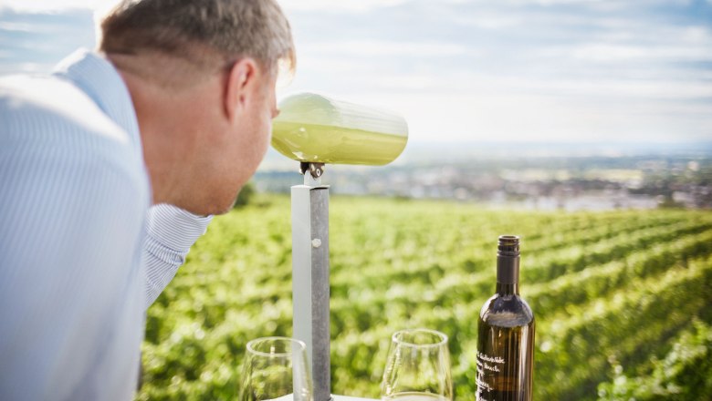 Wine trail Langenlois, © © Waldviertel Tourismus, Gerhard Wasserbauer