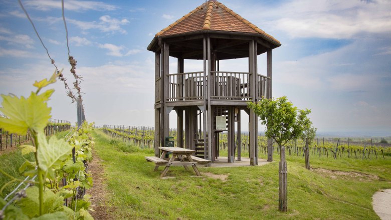 KWTD Fels am Wagram viewing platform, &copy; Donau Nieder&ouml;sterreich, Barbara Elser