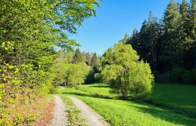 Wurmbrand, © Dr. Markus Peham