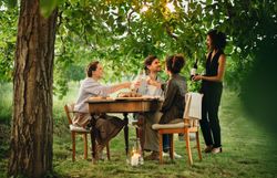 Unter dem schattenspendenden Blätterdach genießen Freunde eine gesellige Jause mit köstlichen Speisen und erlesenen Weinen. Die sanfte Abendsonne taucht die Szene in warmes Licht und schafft eine einladende Atmosphäre, die zum Verweilen einlädt.