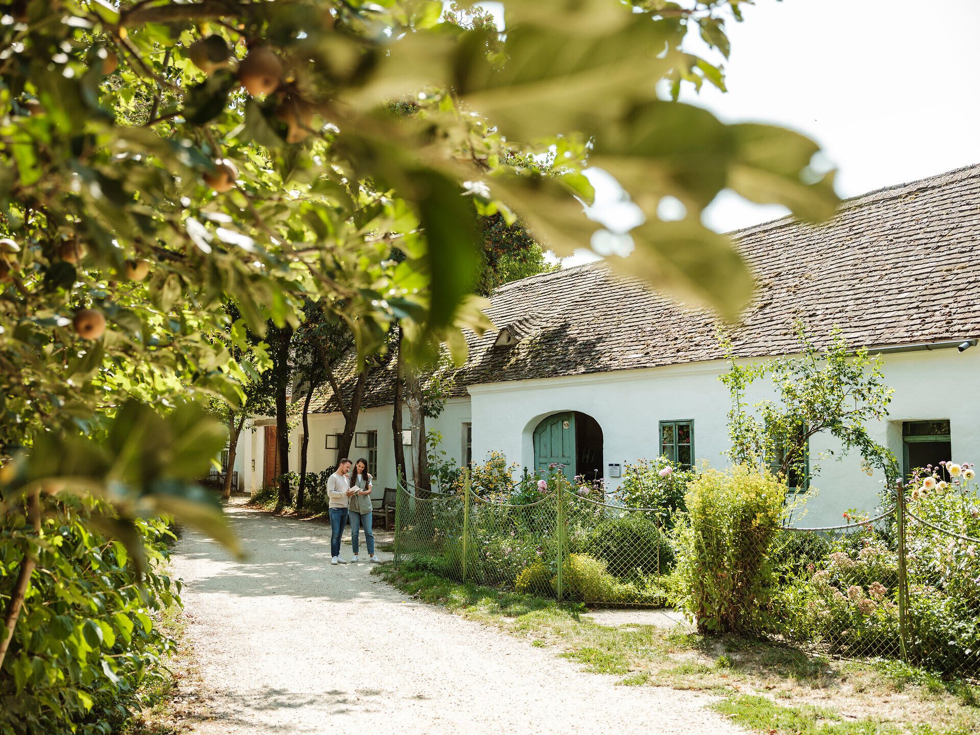 Inmitten der malerischen Landschaft des Weinviertels strahlt das charmante Dorf mit seinen traditionellen Gebäuden eine einladende Atmosphäre aus. Die sanften Hügel und üppigen Obstbäume umrahmen den Hof, während Besucher die Ruhe und Schönheit der Umgebung genießen. Ein perfekter Ort, um in die ländliche Kultur einzutauchen und die Seele baumeln zu lassen.