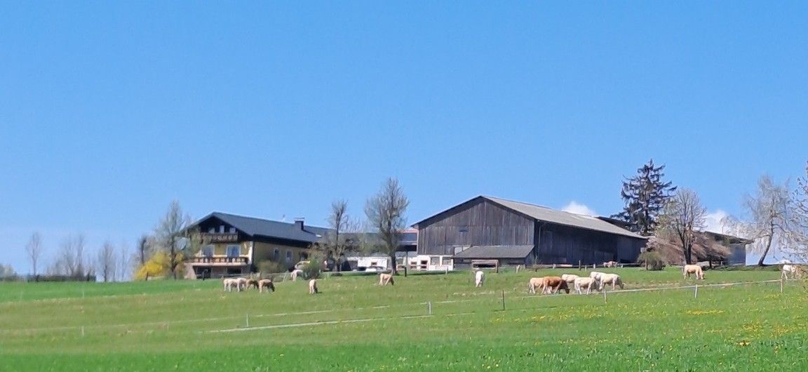 Stieger biogazdaság
