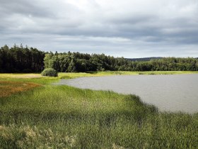 Edlesberger Teich, &copy; Waldviertel Tourismus, weinfranz