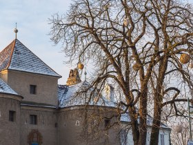 R&oacute;mai torony Traismauerben, h&oacute;val bor&iacute;tott tetővel &eacute;s csupasz f&aacute;val az előt&eacute;rben.