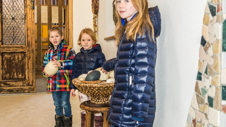 Determine eggs, &copy; Otto Brandl