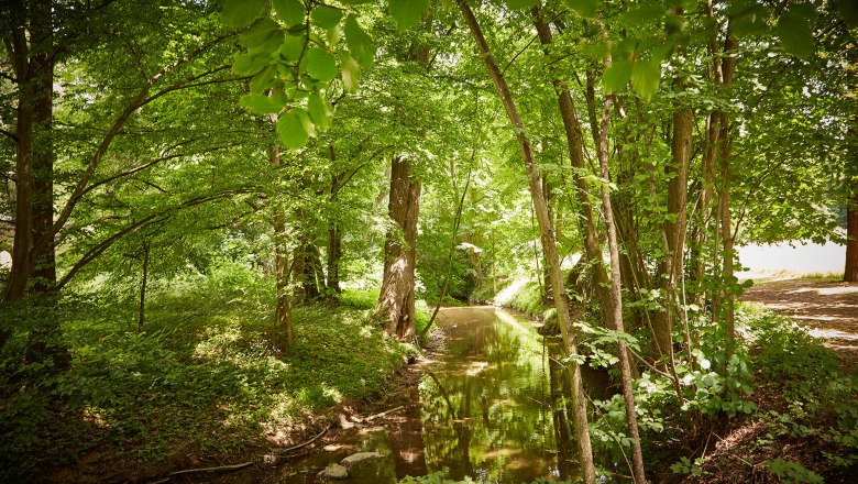 castle-horn, © lichtstark.com