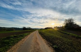Abendstimmung kurz vor Jagenbach, © Dr. Markus Peham