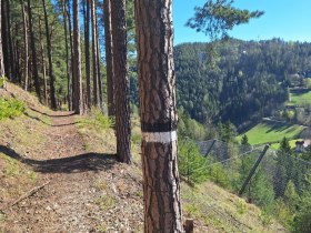 Bahnwanderweg &uuml;ber den roten Berg, &copy; TVB Semmering-Rax-Schneeberg