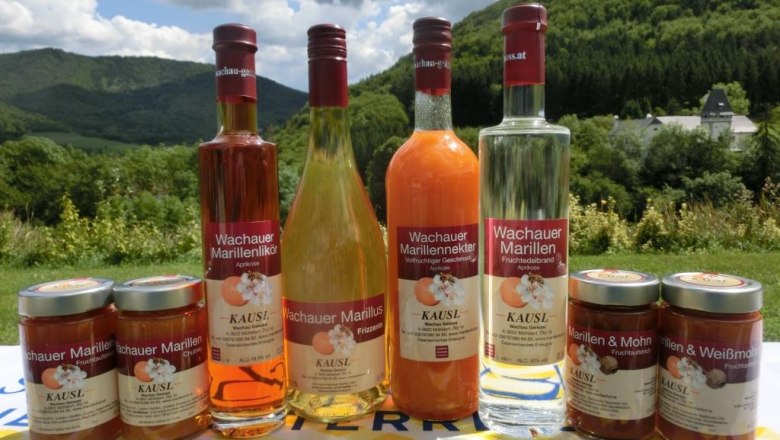 Apricot assortment at Kausl, © Marillenhof Kausl